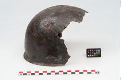 Foto von Eisenhelm (NHMW-PRAE-048323)